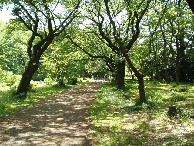 img0043.jpg
