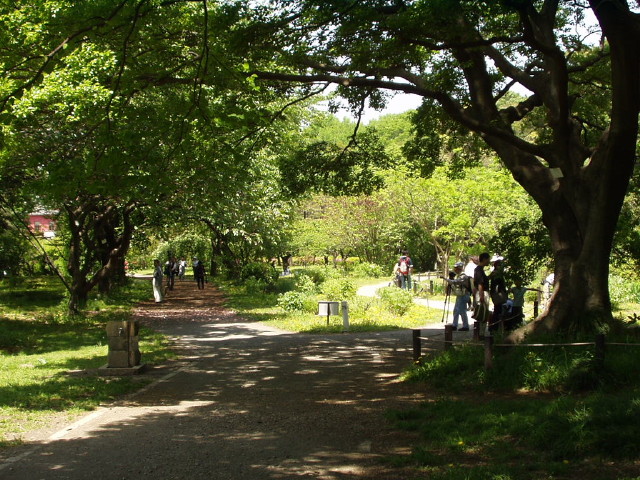 img0044.jpg