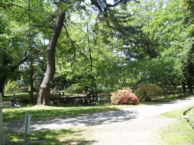 img0046.jpg