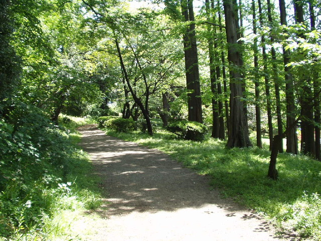 img0049.jpg