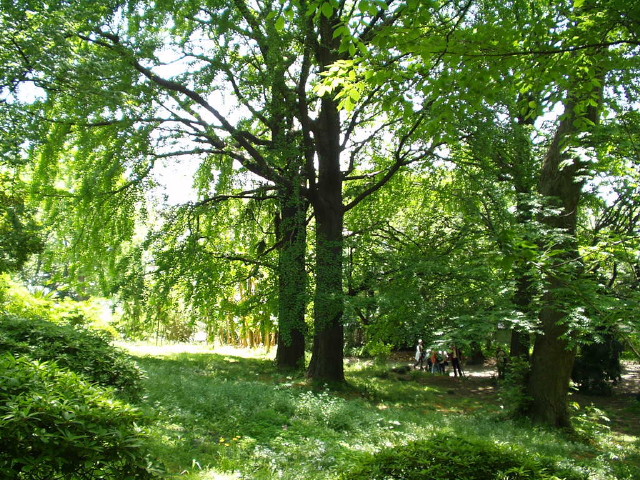 img0051.jpg