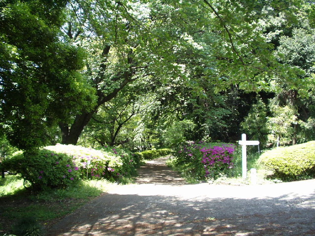 img0052.jpg