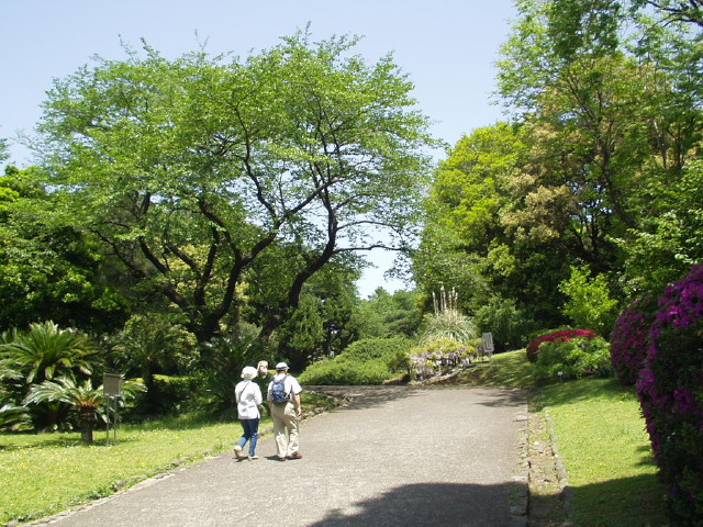 img0053.jpg