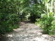 img0000.jpg