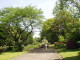 img0001.jpg