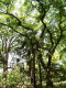 img0004.jpg
