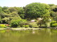 img0005.jpg