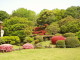 img0006.jpg