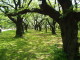 img0009.jpg