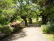 img0011.jpg
