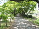 img0012.jpg