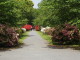 img0014.jpg