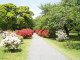 img0016.jpg