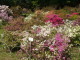 img0017.jpg