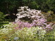 img0018.jpg