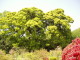 img0019.jpg