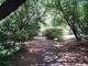img0020.jpg