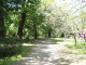 img0021.jpg