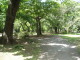 img0022.jpg