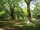 img0023.jpg