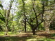 img0024.jpg