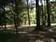 img0026.jpg