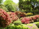 img0029.jpg