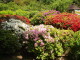 img0041.jpg