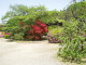 img0042.jpg
