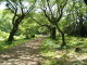 img0043.jpg