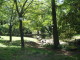 img0045.jpg