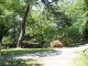 img0046.jpg