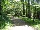 img0049.jpg
