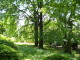 img0051.jpg