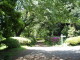 img0052.jpg