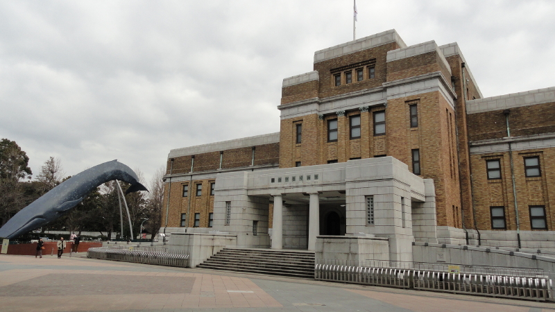 img0005.jpg