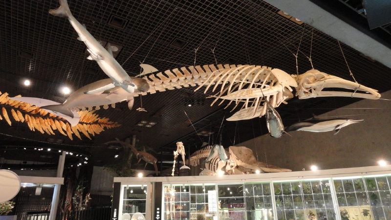 img0027.jpg