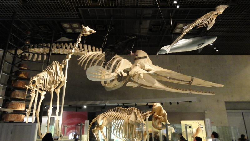 img0028.jpg