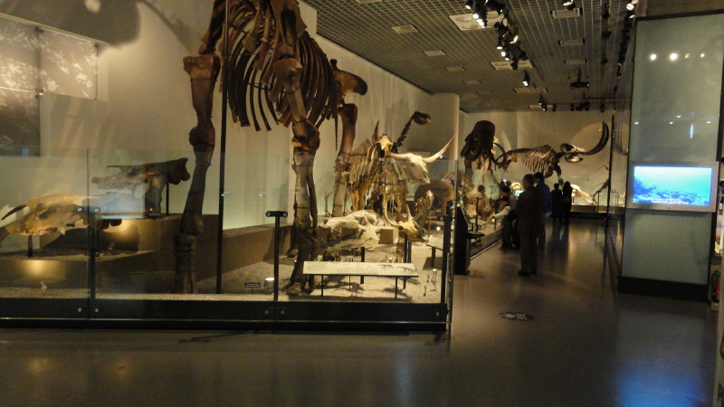 img0032.jpg