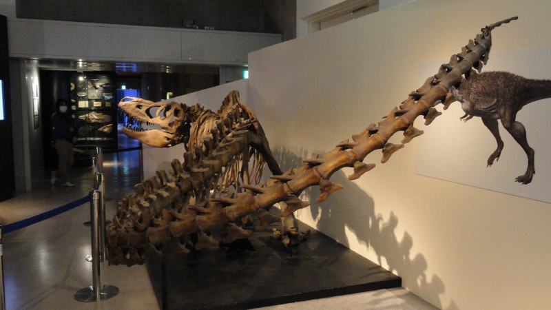 img0033.jpg