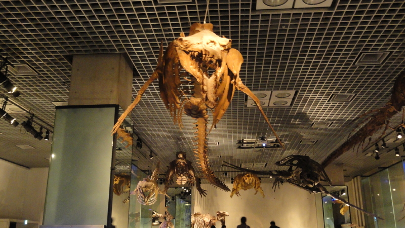 img0034.jpg