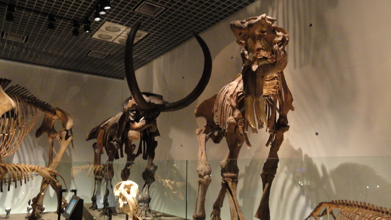 img0038.jpg