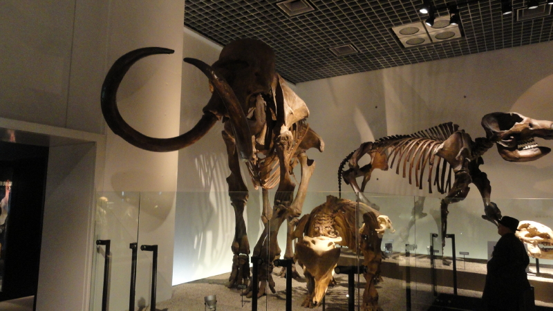 img0039.jpg