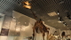 img0031.jpg