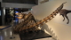 img0033.jpg