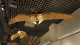img0037.jpg