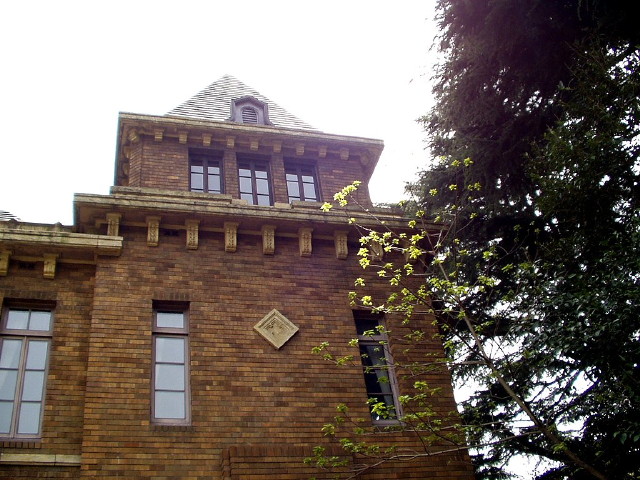 img0010.jpg