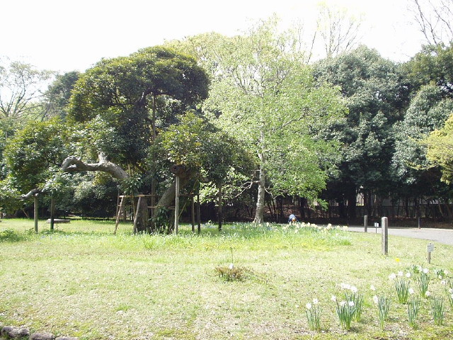 img0012.jpg