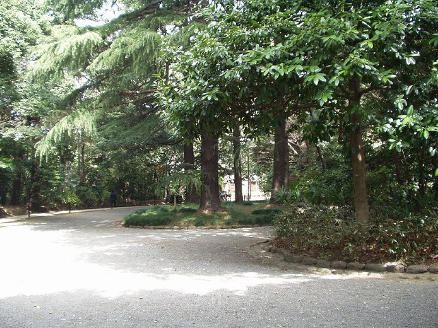img0013.jpg