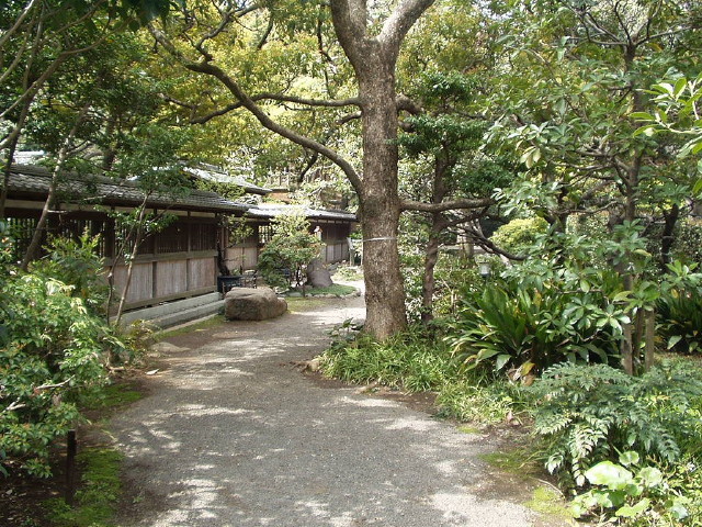 img0025.jpg